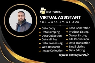 do data entry, editing, conversion, translation and typing