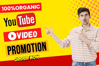 do organic youtube video promotion