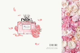 draw your fashion accessories such as perfumes, shoes, bags