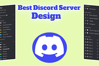 setup professional discord server for you