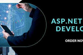 develop asp net and asp net mvc web application