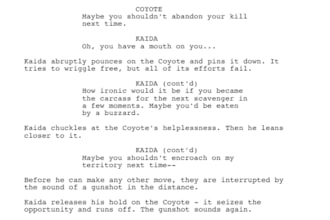 write your screenplay, movie script, tv series, script editor, rewrite script