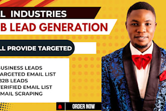 provide targeted b2b lead generation for any industry or shopify ecommerce leads