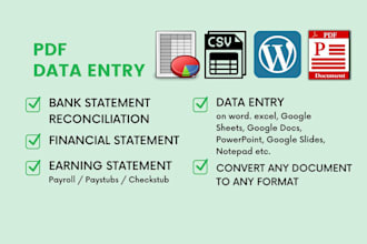 do data entry in excel, pdf, copy paste or reconcile bank statement
