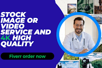 do royalty free stock photo or video service and 4k high quality