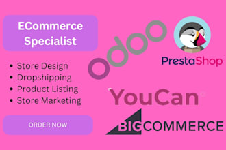 design odoo, prestashop, youcan, bigcommerce store, store marketing