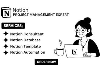 design a custom notion database, template and integration solutions