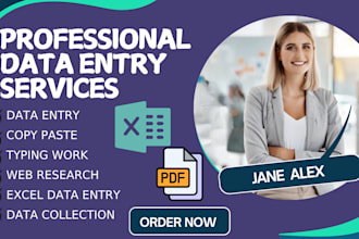 do excel data entry, copy paste, data collection, web research, lead generation