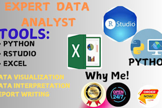 handle data analysis in excel spss, r python programming