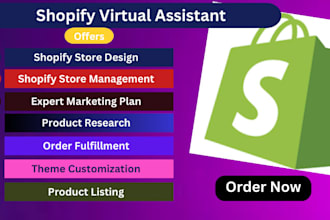 be your shopify virtual assistant, shopify website design, shopify store manager