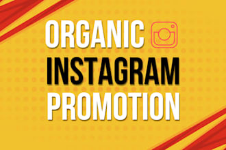 super fast organic instagram growth