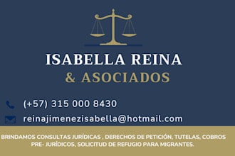 provide professional legal advice