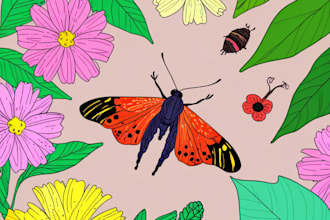 create insects, animals and botanical illustrations