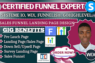 systeme io sales funnel, wix survey landing page pre launch, domain connection