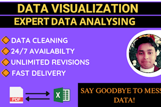do data cleaning, formatting, merging, sorting in excel for you