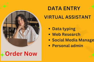 be your personal admin for data entry, web research and data typing jobs
