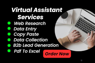 be reliable data entry and web research virtual assistant
