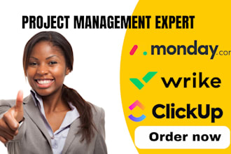 setup project management on monday, clickup, asana, trello