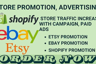 promote etsy, shopify, ebay store with paid ads, campaign to increase traffic