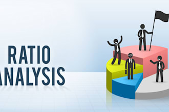 do project, ratio and financial statement analysis