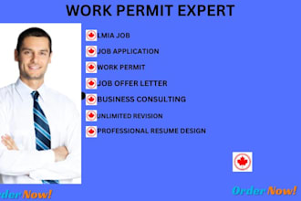 assist in preparing lmia for hiring foreign worker