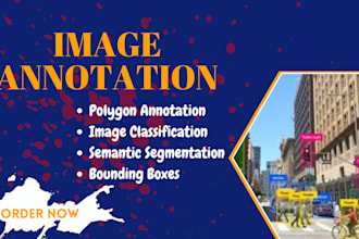 do image expert annotation labelling tag ai models