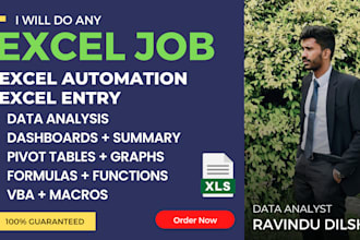 do any microsoft excel formula, excel macro, excel vba ,charts and analysis