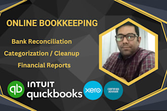do setup, cleanup, reconciliations in quickbooks and xero