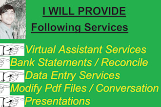 provide VA and data entry services