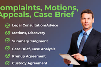 draft legal motions, lawsuits, complaints, petitions, appeal and case briefs