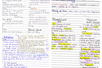 make your documents and notes into handwritten masterpieces