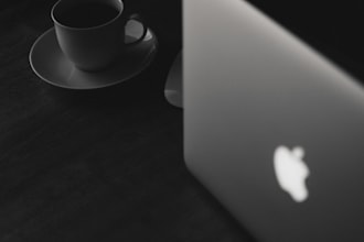 do online marketing management, PPC, social media campaigns and brand growth