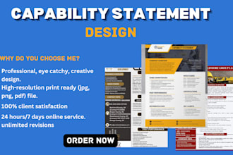 design government capability statement and capability statement
