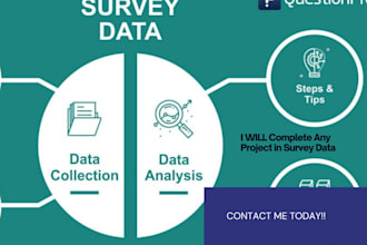 complete any project in survey data and write a report
