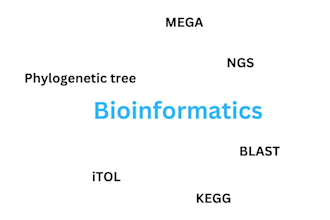 assist you in bioinformatics analysis