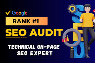 do professional SEO audit and technical on page optimization
