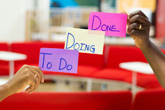provide remote project management services