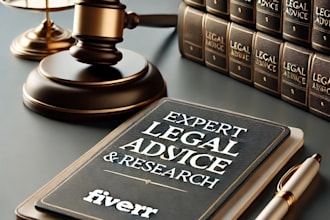 provide expert legal advice and professional legal opinion
