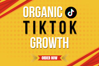 manage tiktok promotion and marketing for organic growth