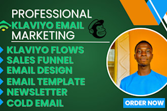 audit klaviyo email marketing automation, klaviyo flows for shopify store sales