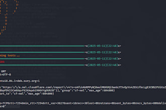 do ethical hacking and penetration testing on your website
