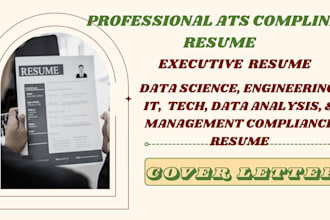 write senior executive, director resume, IT and engineering resume writing