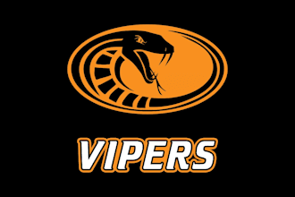 design awesome vipers football team logo