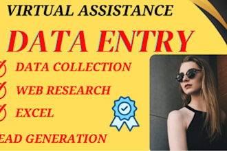do data entry ,excel ,pdf ,web research , data collection and virtual assistance