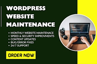 provide website maintenance as your website manager