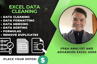 do excel data cleaning, sorting, formatting, merging and organizing