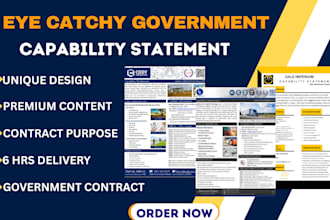 government capability statement, capability statement for government contract