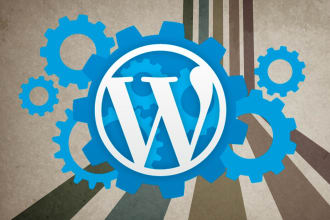 fix your wordpress, woocommerce errors and remove malware