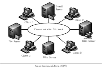 socket programming and netwroking in python cpp
