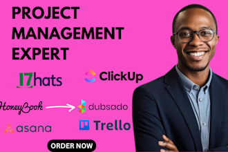setup honeybook, dubsado, 17hats, clickup, trello, asana, airtable, suitedash